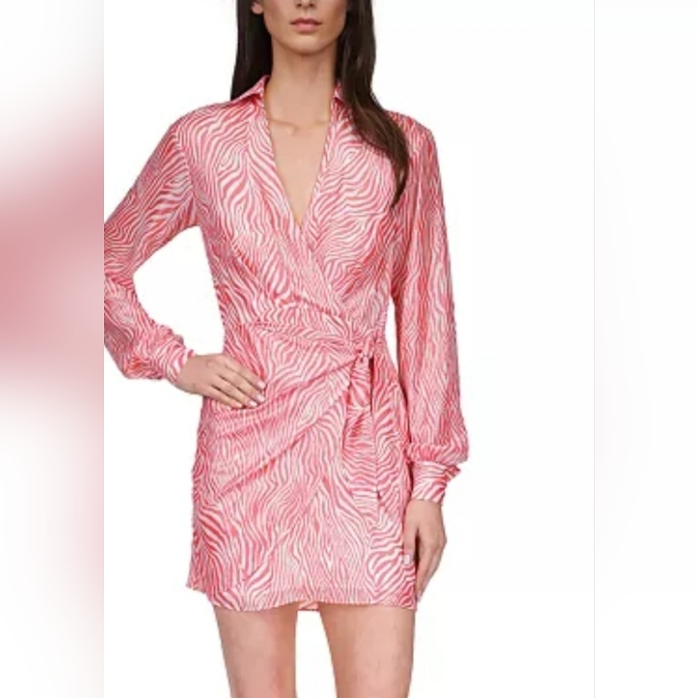 Women's Graphic Zebra Wrap Dress